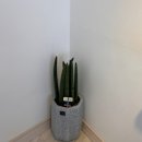 파란 카페 앤 호스텔 이미지