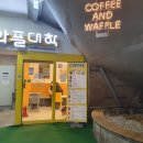 신림 포도몰 와플대학 뇸뇸학과 [ft.맛있으면 짖는 강아지 멍멍..! 멈칫..!]