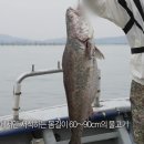 유달횟집 이미지