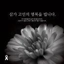 소방청 &#34;무안공항 사고 사망자 96명 확인&#34; 이미지