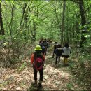 광산 귀후재 이미지