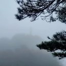 낙조대 Daum카페
