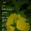 매월골프랜지 이미지