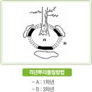 조경기능사(실기) 이미지