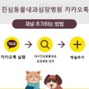 진심동물내과심장병원 이미지
