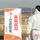 윤성호농장 노컷뉴스