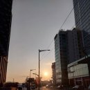 워닛 - 남양주시 | 워닛 단기 2기 고다원 부산엑스더스카이 전망대 후기!