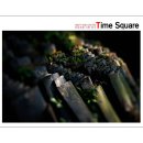 여성회원 'Time Square' 전시 2014년 4월 26일(토) 18:00 이미지