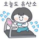 바닐라짐 이미지