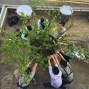 바리에 충장점 이미지