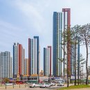 메트로21 이미지