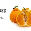 해품은농장 이미지
