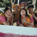 보보스랜드 이미지