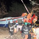 NIE 신문활용 이미지