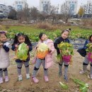 즐거운농장 이미지