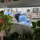 24시 블루밍 동물병원 이미지