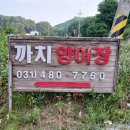까치 낚시터 이미지