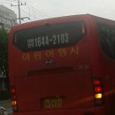뉴럭셔리여행사 이미지