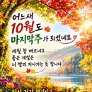 10월30일(금)(끝말잇기)방에 오심을 환영하는 합니다 이미지