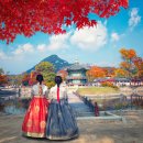 서울~서울~서울을 만나봅시다