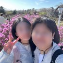성판악입구 ↔ 숲터널입구 | 한라산 등산 후기 / 성판악 관음사 코스 / 난이도 / 준비물🗒️ 등린이 너도 할 수 있어!