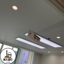 신방한라동백@ 2 이미지