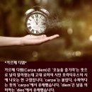 카르페디엠 이미지
