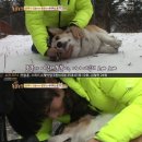 똘똘이농장 이미지