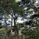 솔밭흙집 이미지