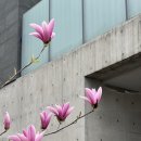 바른고기정육점 - 수원시 영통구 동수원로 514 | 바른고기정육점