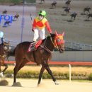 캡틴축산 이미지