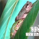 금복농장 이미지