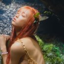 숲의 아이 이미지