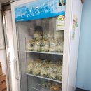 인천홍어무침맛집, 부평홍어맛집 홍어먹는날 포장후기