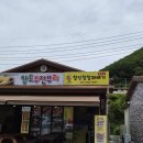 동태백로 | [태백 여행] 365세이프타운 대한민국 청소년 안전캠프 2일차 후기🔥 챌린지월드, 한국안전체험관