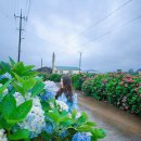 안성리-7 이미지