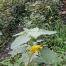 구평동-31 이미지