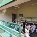 선기로2-6 이미지