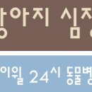 디디동물병원 이미지