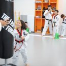 다온키즈태권도장 이미지