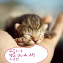교짬 이미지