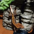 바보들푸드 이미지