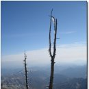 지라산 이미지