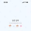 버블냥 이미지