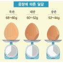 우리계란마트 네이버블로그
