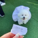 펠리스뻬로파크 숲속마켓 빙고게임 연간회원권 수령 카라반 대여 바베큐 즐기기