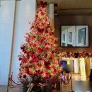 수꿀벌강정 | 서울 그랜드 하얏트호텔 뷔페 주말 런치 솔직후기, 맛도 값만큼 할까?