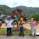 청도레일바이크 | 청도 가족여행 1박2일 코스ㅣ신화랑풍류마을 스카이트레일 + 청도레일바이크 후기