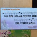 엘이디비전 이미지