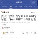 [단독] ‘묻지마 창당’에 이미 62개당 난립… ‘80㎝ 투표지’ 수개표 할 판 이미지